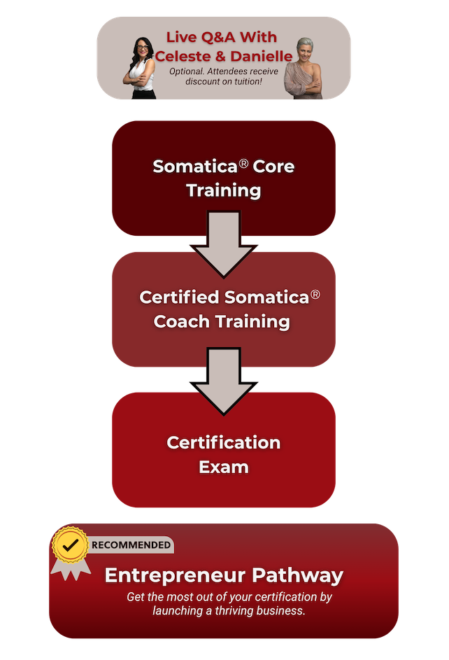 Somatica Certification Path illustration