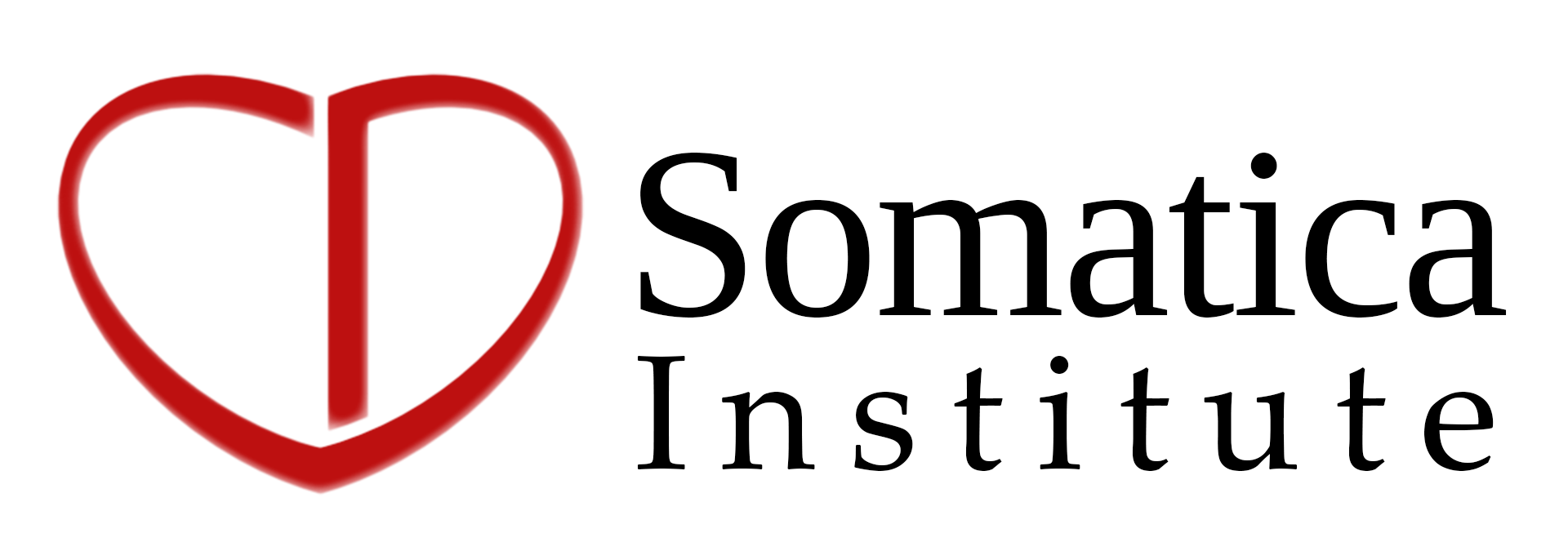 Somatica Institute logo