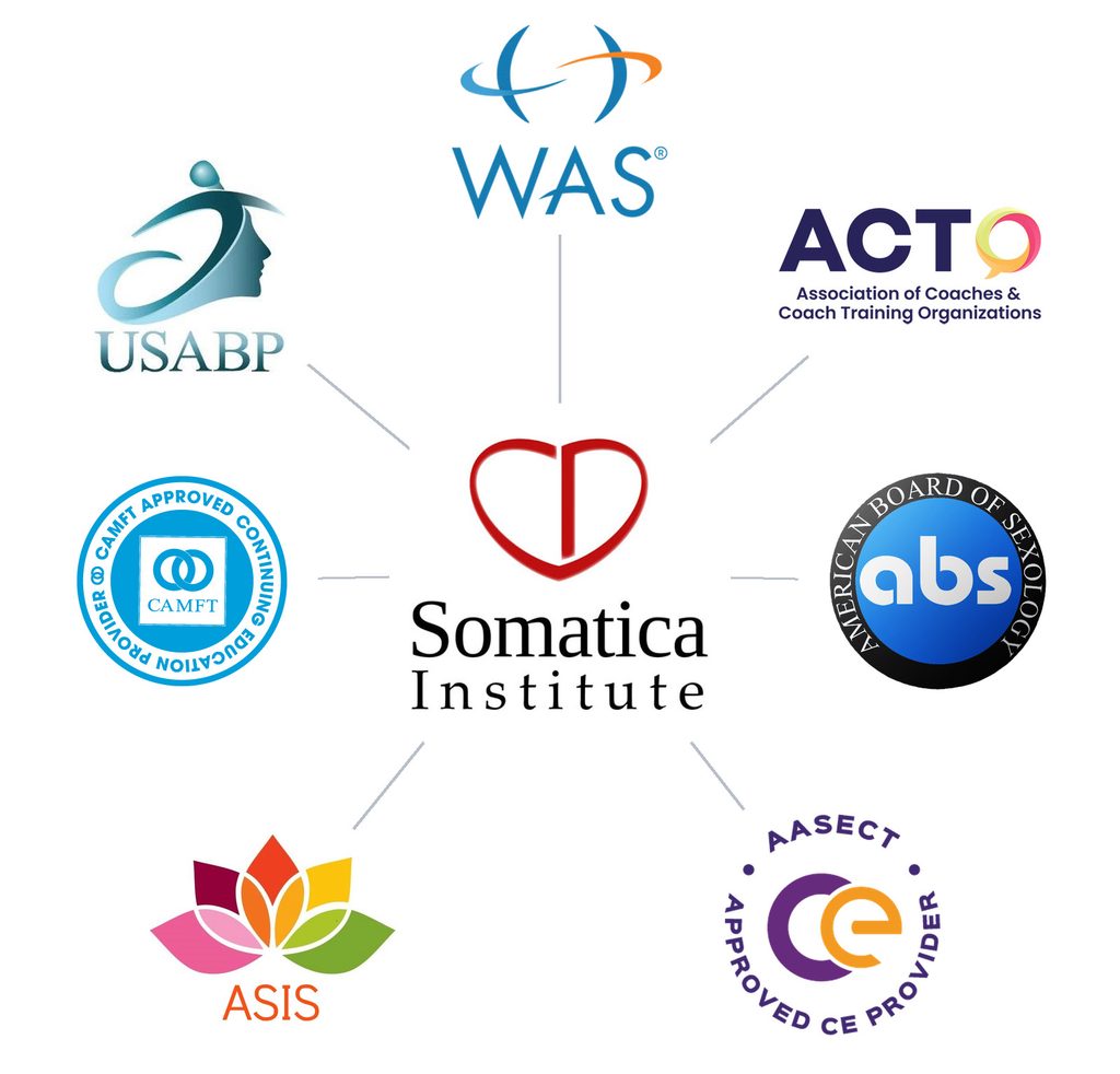 Somatica accredited organization network graphic